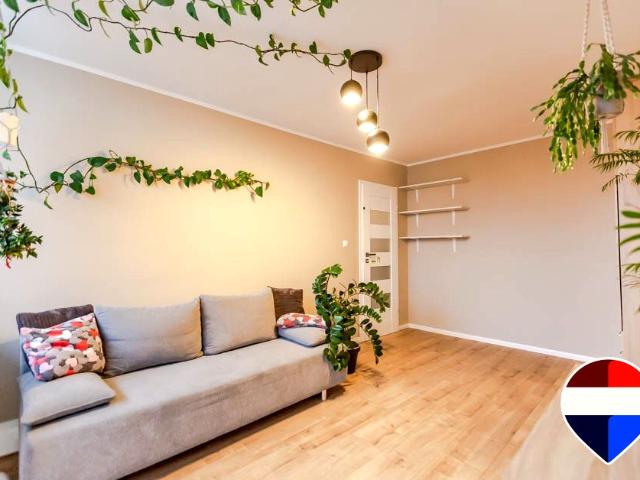 Leopolda Staffa 48 m², Zielona Góra
