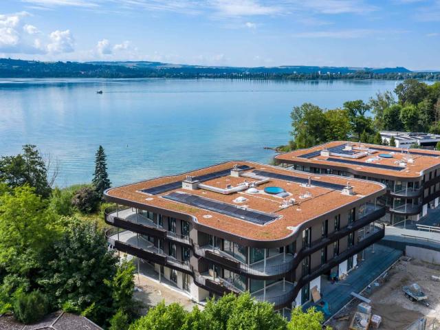 Lebe mit den Füßen im Wasser