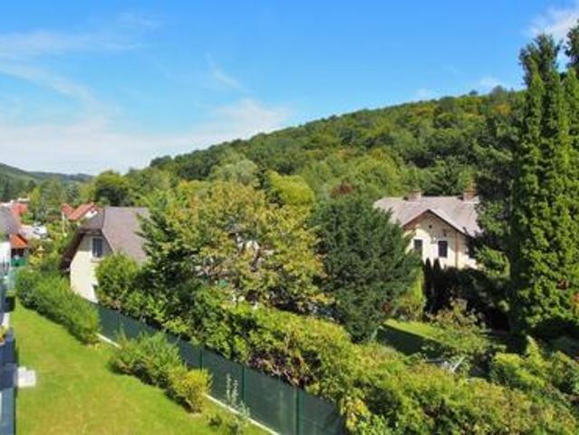 LEBEN GANZ IM FLUSS: Wohnen am WIENERWALD