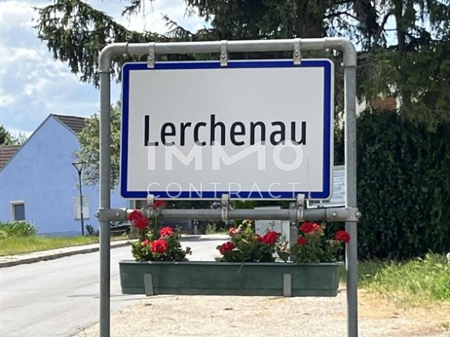 Leben in der Natur