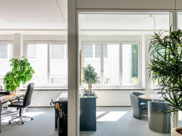 Lebendige Büros ? Energieeffizienz trifft Komfort