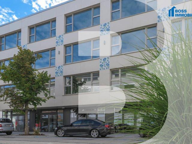 Lebensraum Arbeit Graumann Lofts 3.5