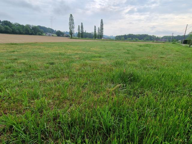 Ledeuix Vente Terrain 64