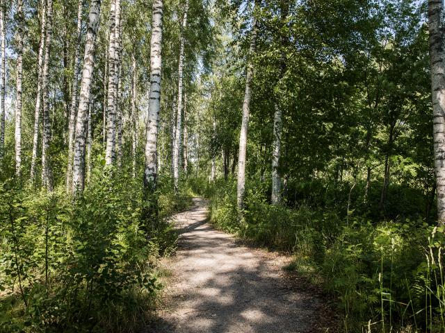 Ledig hyresrätt på Ulrikelundsvägen 14, Örebro | HomeQ