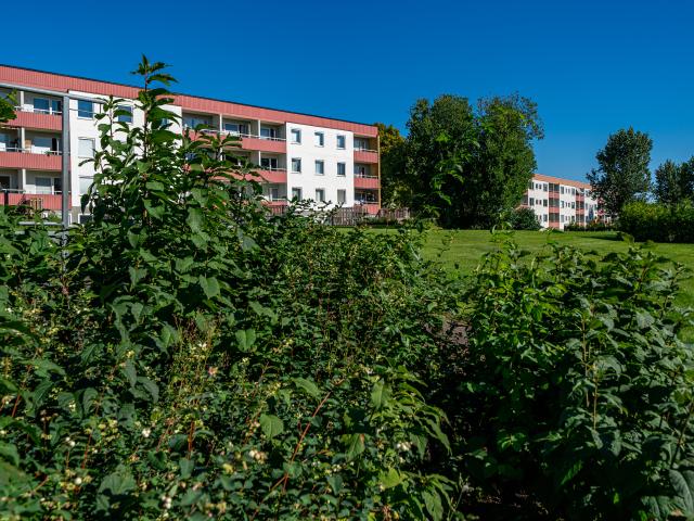 Ledig hyresrätt på Agneshögsgatan 33 A, Motala | HomeQ