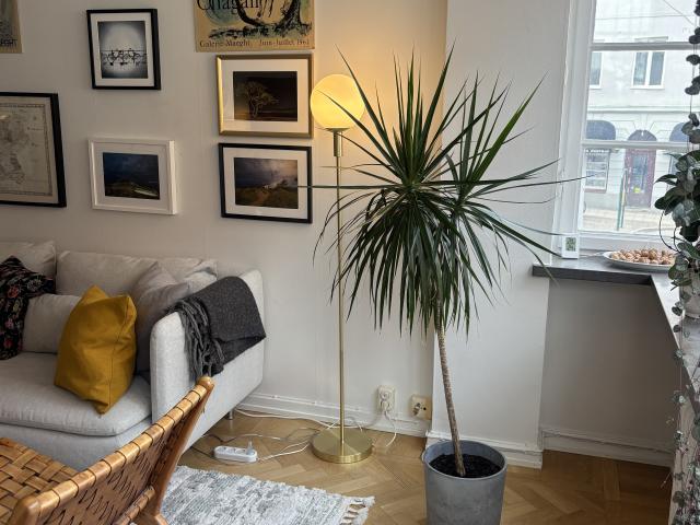 Ledig hyresrätt på Svartbrödersgatan 2, Lund | HomeQ
