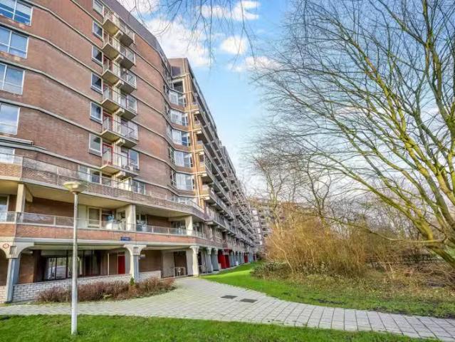 Leerdamhof 80 Amsterdam