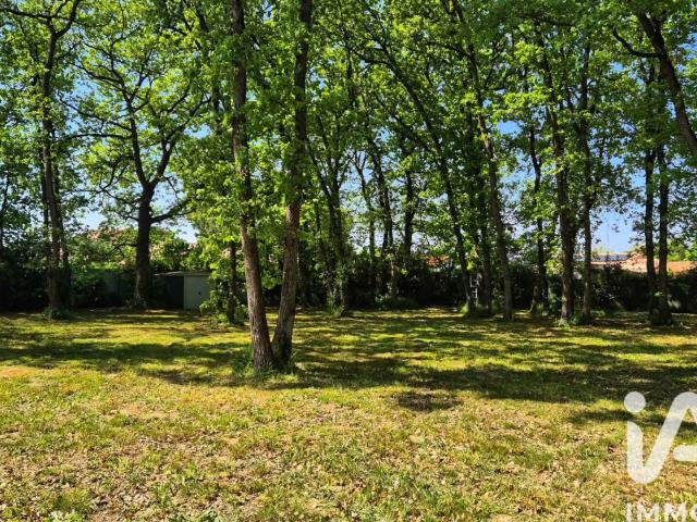 Léguevin Vente Terrain 31