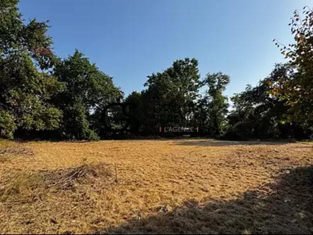 Lège Cap Ferret 33950 Achat / Vente terrain