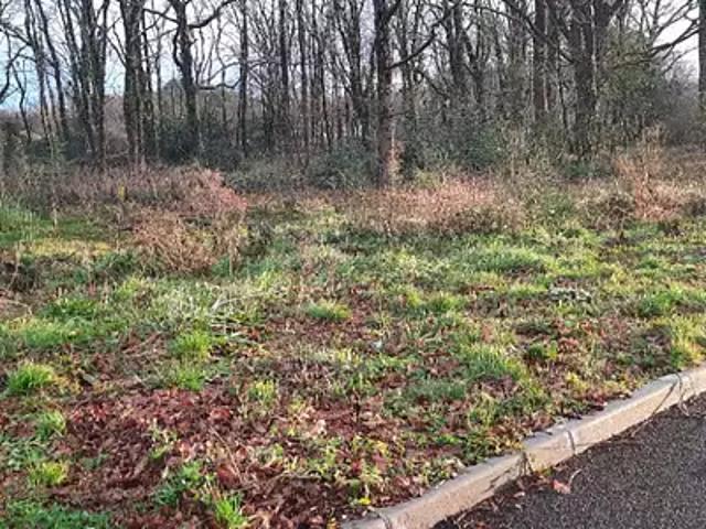 Lège Cap Ferret 33950 Programme neuf terrain neuf à vendre