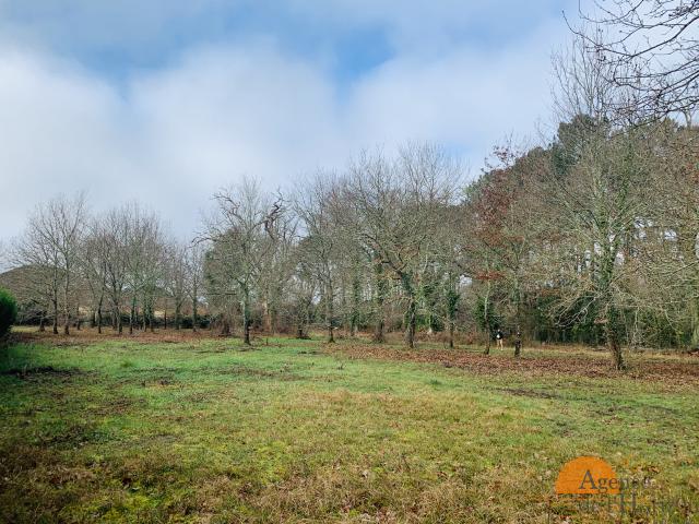 LÈGE CAP FERRET TERRAIN D’EXCEPTION EN LISIÈRE DE FORÊT