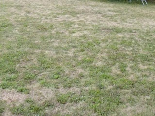 Legé Vente Terrain 44