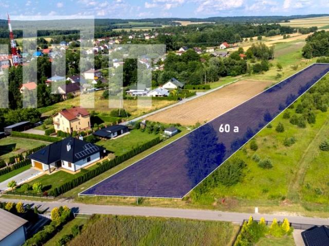 Legionów 6 000 m², Horyniec Zdrój