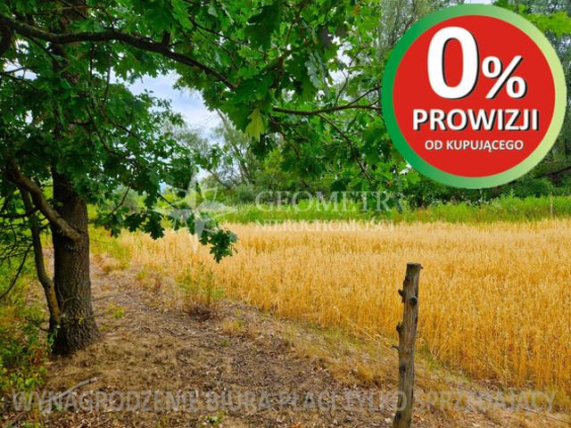 Legionowski, Jabłonna, Boża Wola, Modrzewiowa