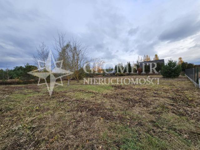 Legionowski, Jabłonna, Skierdy, Muzyczna