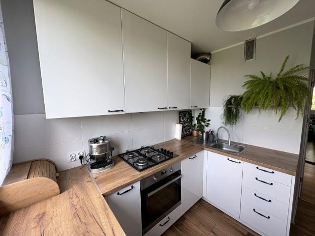 Legnicka 50,60 m², Lubin