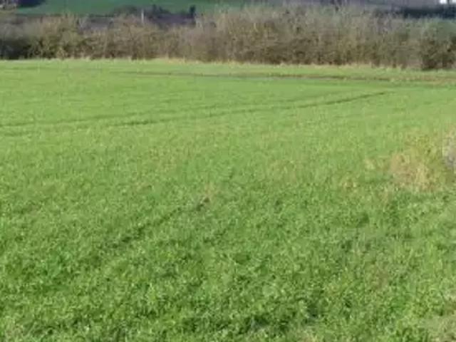 Leigné les Bois 86450 Programme neuf terrain neuf à vendre