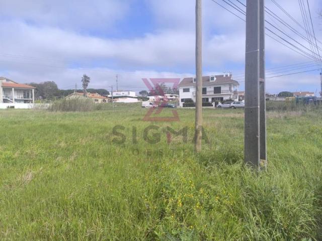 Leiria Caldas da Rainha 2500 LS102204031
