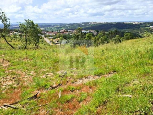 Leiria Caldas da Rainha 2500 LS102845603