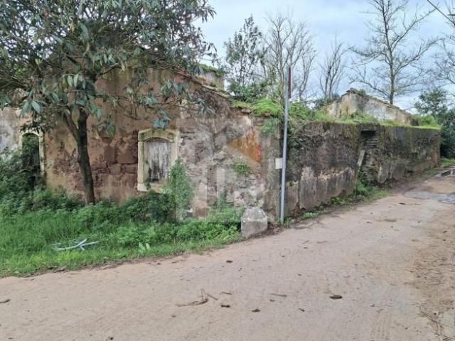 Leiria Caldas da Rainha 2500 99934439