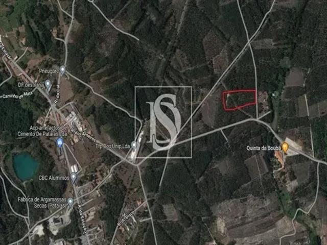 Leiria Alcobaça 103554889