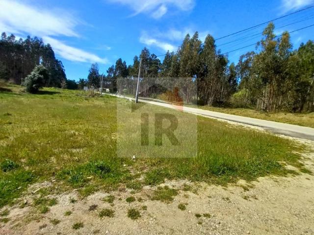 Leiria Alcobaça 2460 LS102306531