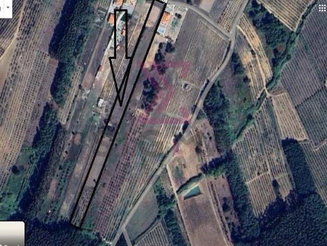 Leiria Bombarral 2540 104637857