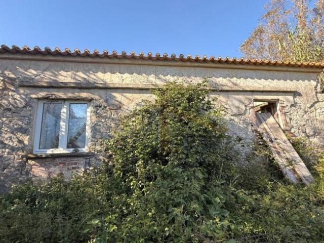 Leiria Óbidos 2510 100840287