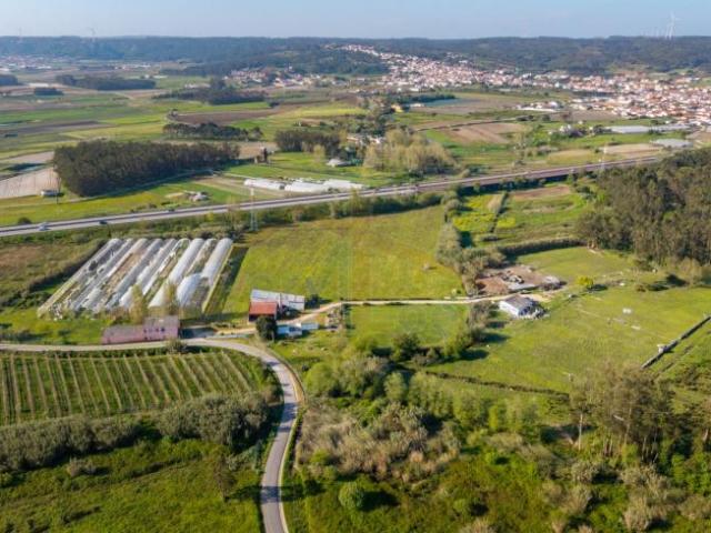 Leiria Óbidos 2510 101301403