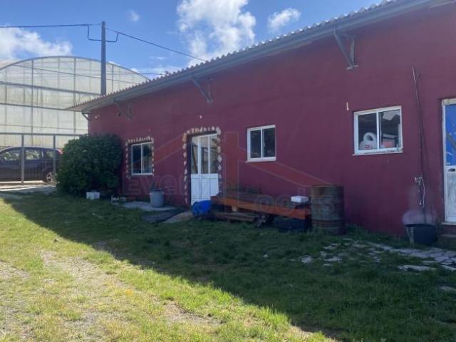 Leiria Óbidos 2510 103178964
