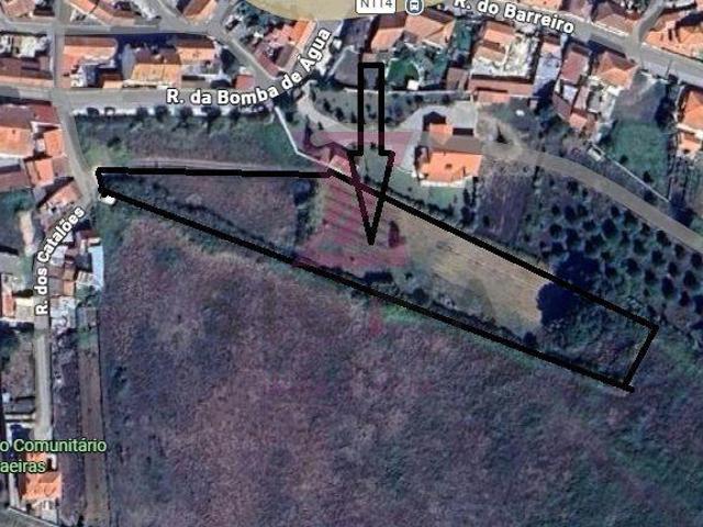 Leiria Óbidos 2510 103651826