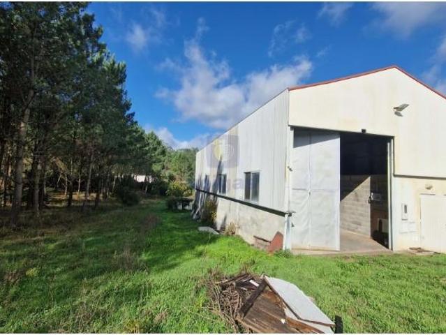 Leiria Leiria LS95902212