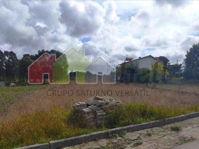 Leiria Leiria 100016049