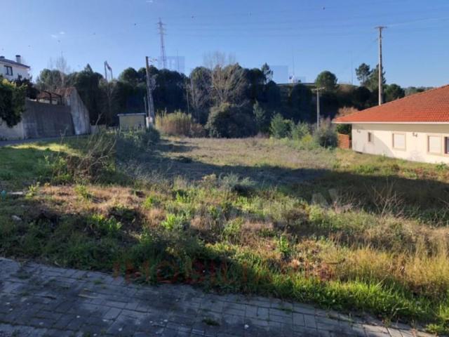 Leiria Leiria 100328425