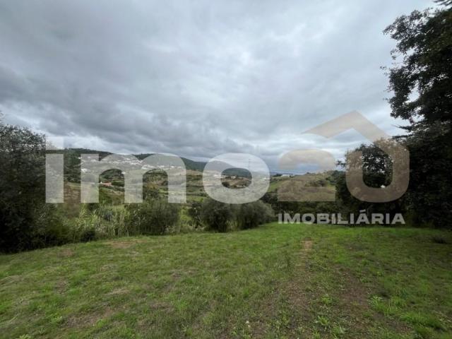 Leiria Leiria 100539989