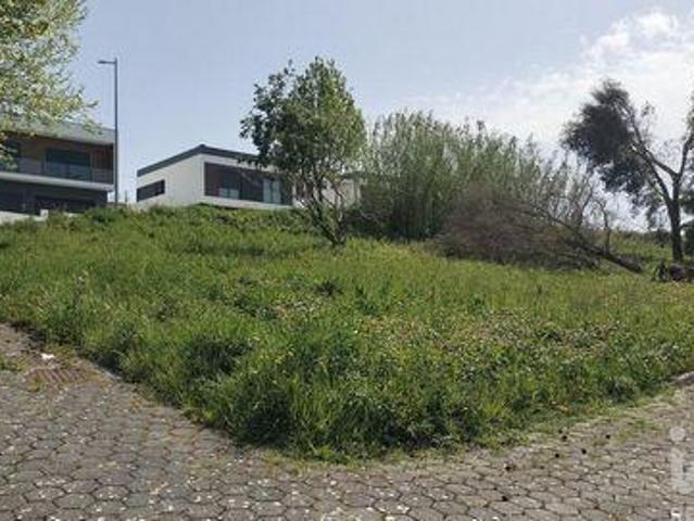 Leiria Leiria 101598187