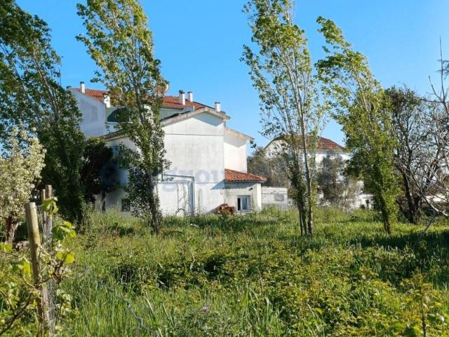 Leiria Leiria 101645686