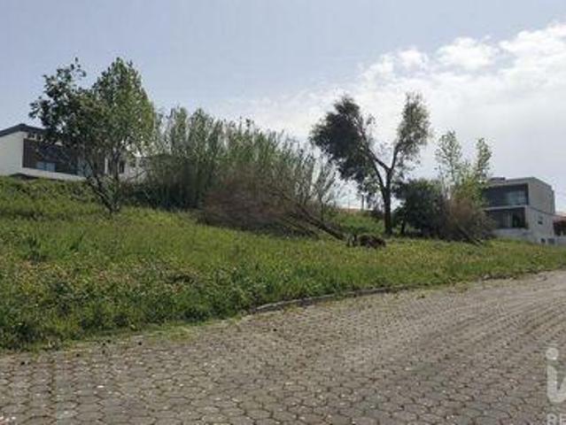 Leiria Leiria 101798081