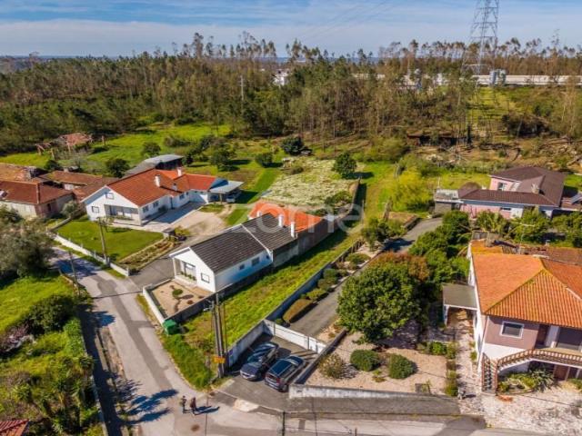 Leiria Leiria 101888241