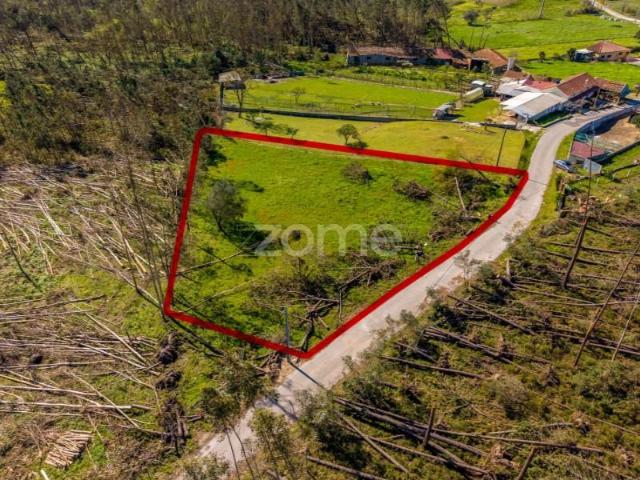Leiria Leiria 102163440