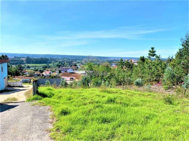 Leiria Leiria 102362493