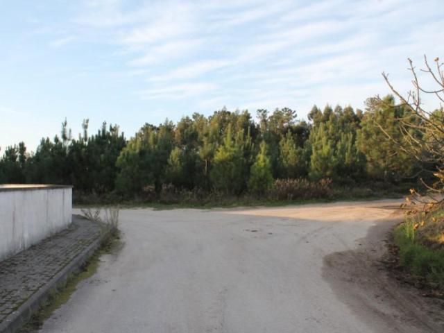 Leiria Leiria 102743638