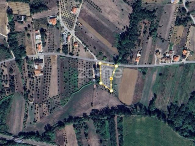 Leiria Leiria 102921572