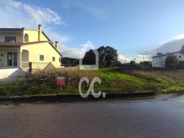 Leiria Leiria 103426269