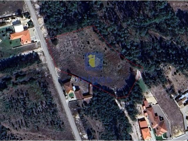 Leiria Leiria 103619144