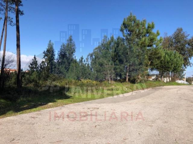 Leiria Leiria 104048136