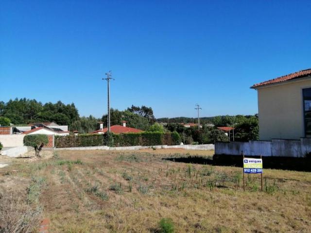 Leiria Leiria 104159225