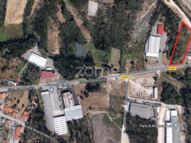 Leiria Leiria 104550313
