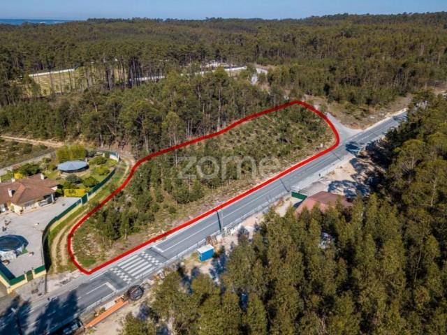 Leiria Leiria 104583209