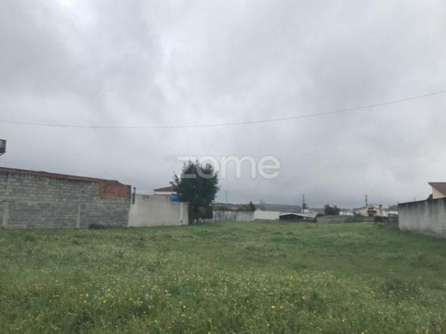 Leiria Leiria 104730187